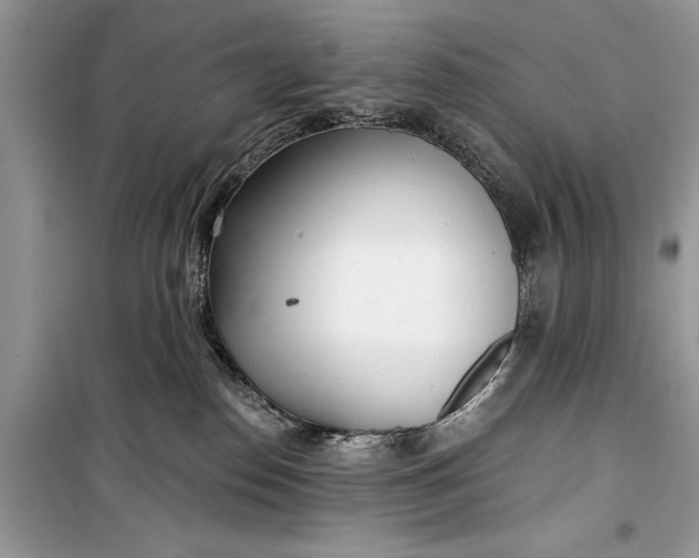 X0000099300186200805161357