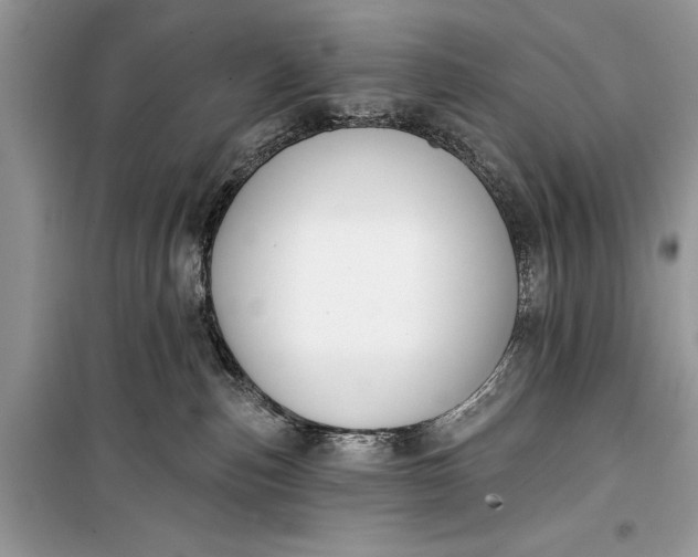 X0000099300187200805161357