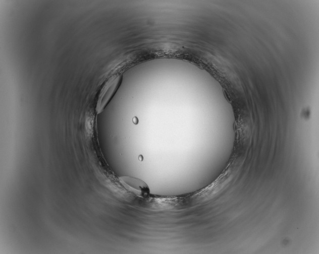 X0000099300188200805161357