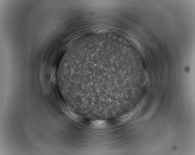 X0000099300189200805161357