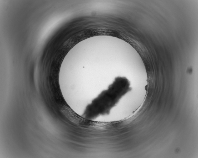 X0000099300190200805161357