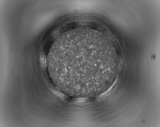 X0000099300191200805161357