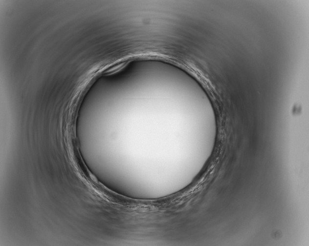 X0000099300193200805161357