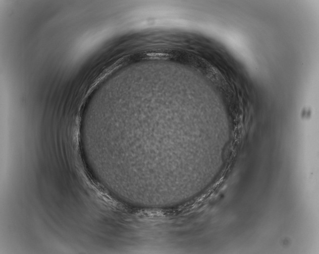 X0000099300194200805161357