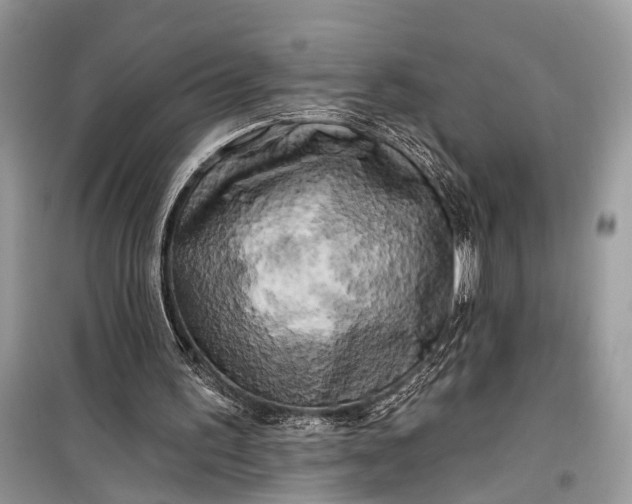 X0000099300195200805161357