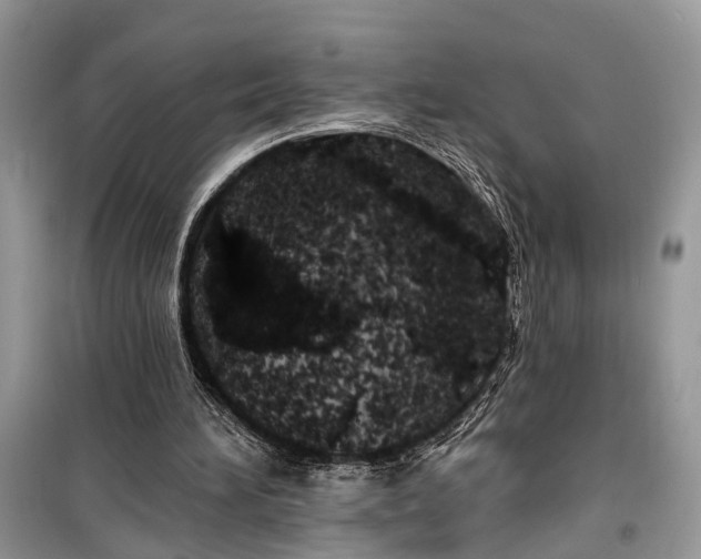 X0000099300196200805161357