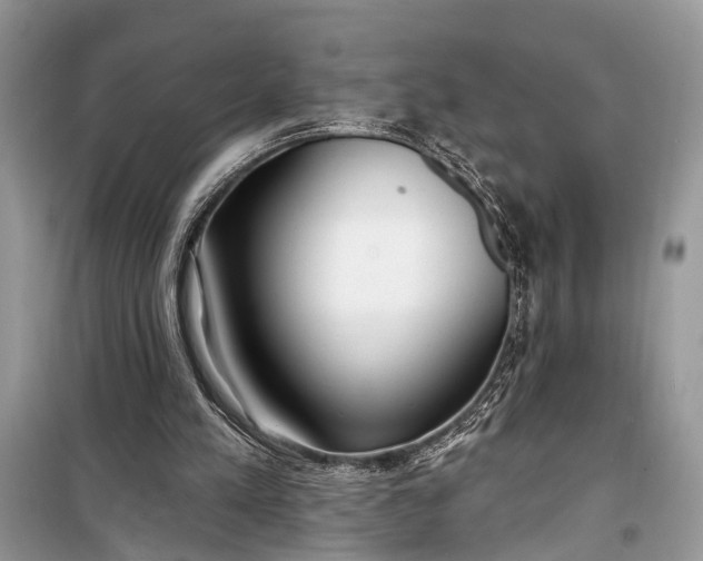 X0000099300197200805161357