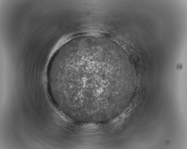 X0000099300198200805161357