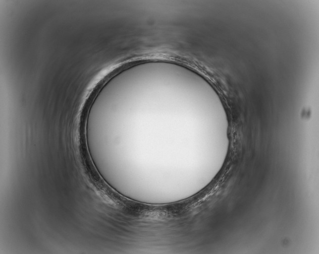 X0000099300200200805161357