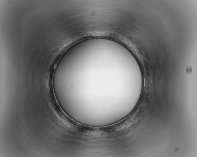 X0000099300201200805161357