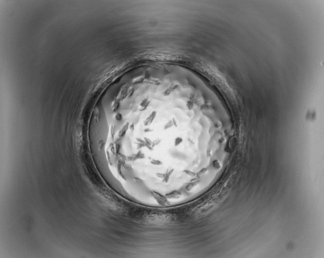 X0000099300202200805161357