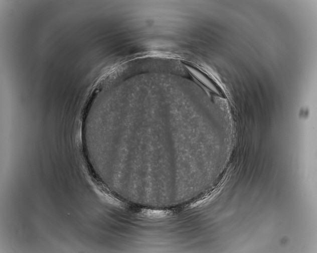 X0000099300205200805161356