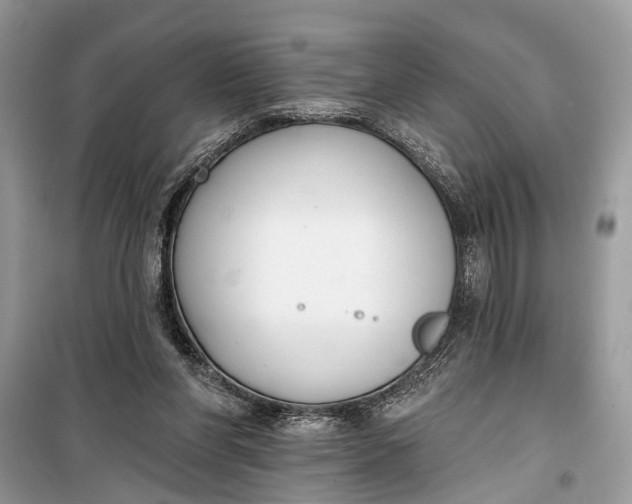 X0000099300206200805161356