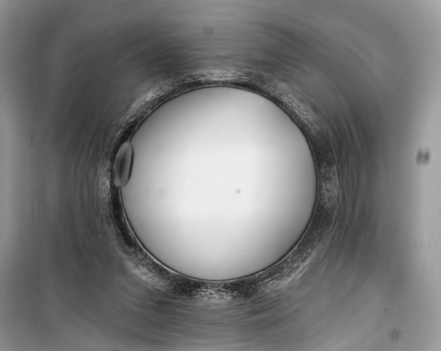 X0000099300207200805161356