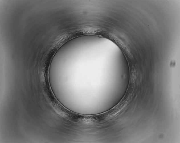 X0000099300209200805161356