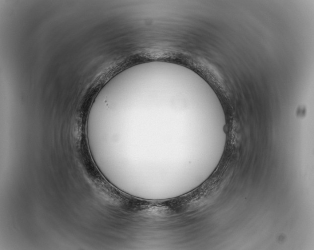 X0000099300210200805161356