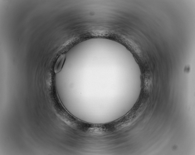 X0000099300211200805161356