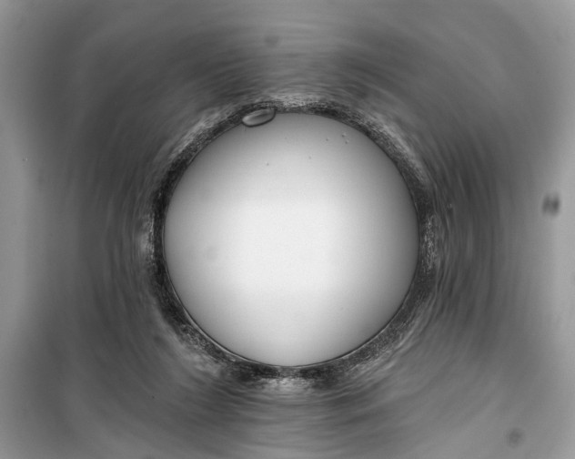 X0000099300212200805161356