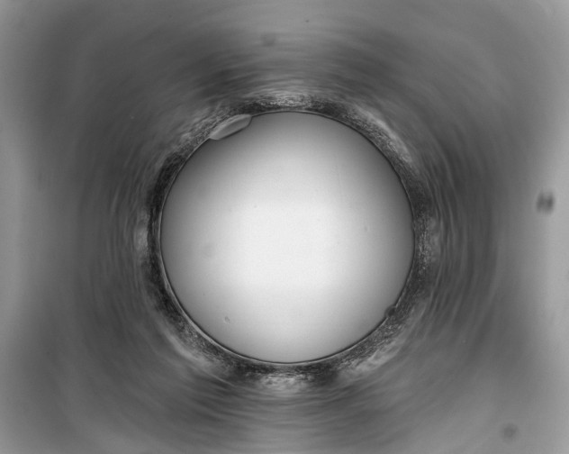 X0000099300213200805161356