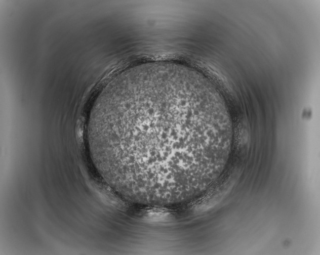 X0000099300214200805161356