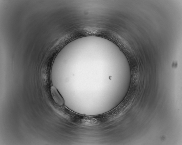 X0000099300215200805161356