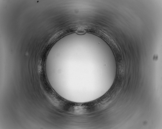 X0000099300216200805161356