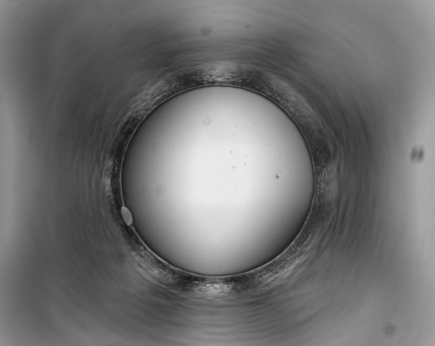 X0000099300217200805161356