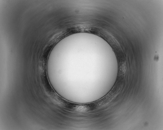 X0000099300218200805161356