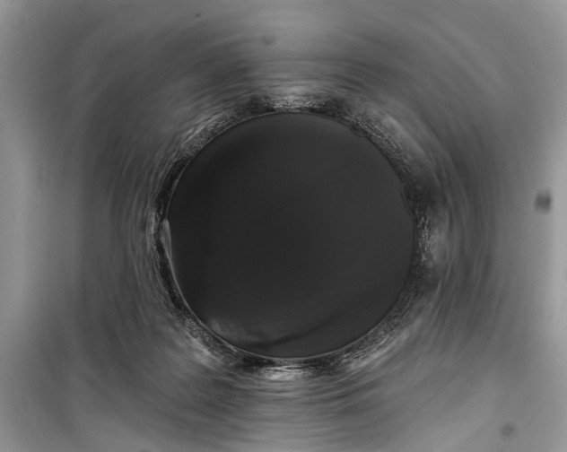 X0000099300219200805161356