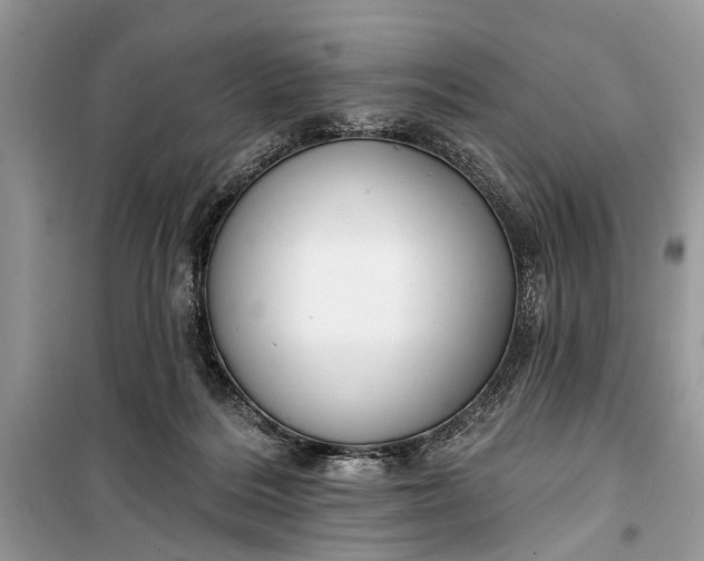 X0000099300220200805161356