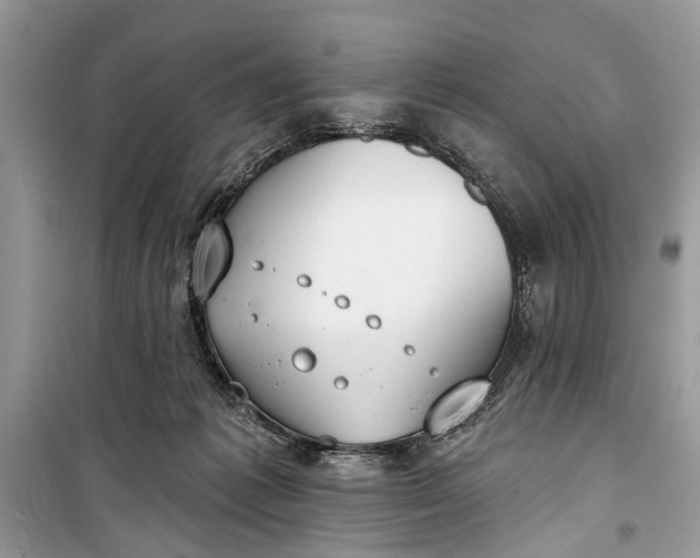 X0000099300221200805161356