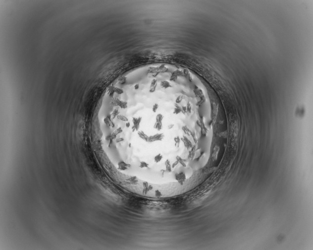 X0000099300222200805161356