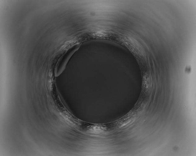 X0000099300223200805161356