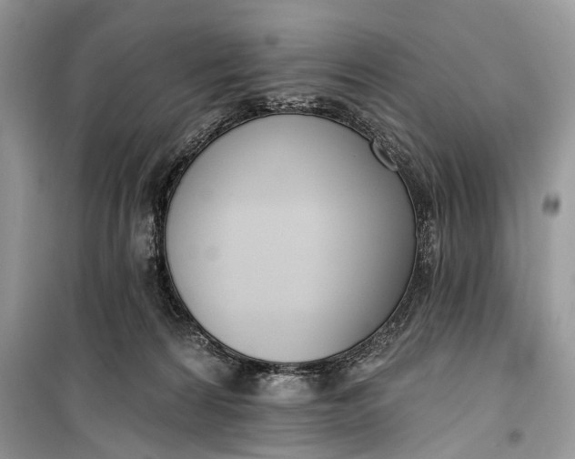 X0000099300224200805161356