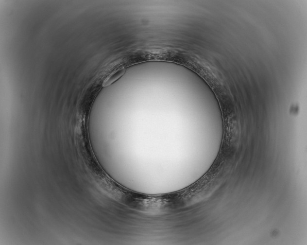 X0000099300225200805161356