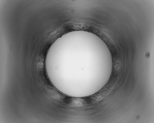 X0000099300226200805161356