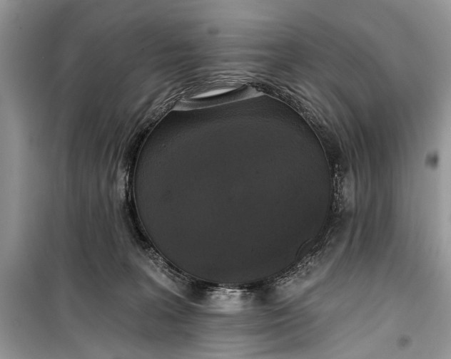 X0000099300227200805161356