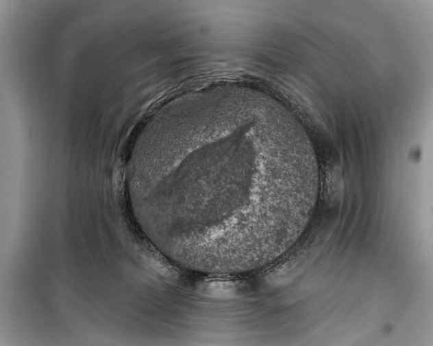 X0000099300228200805161356