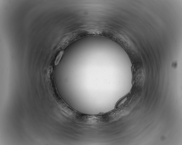 X0000099300229200805161356