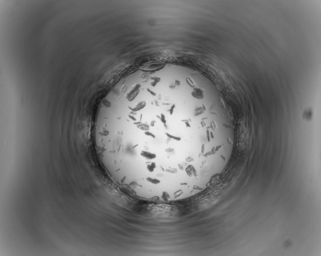 X0000099300230200805161356