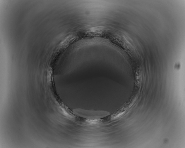 X0000099300231200805161356