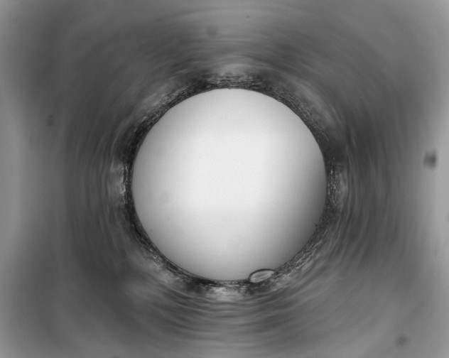 X0000099300232200805161356