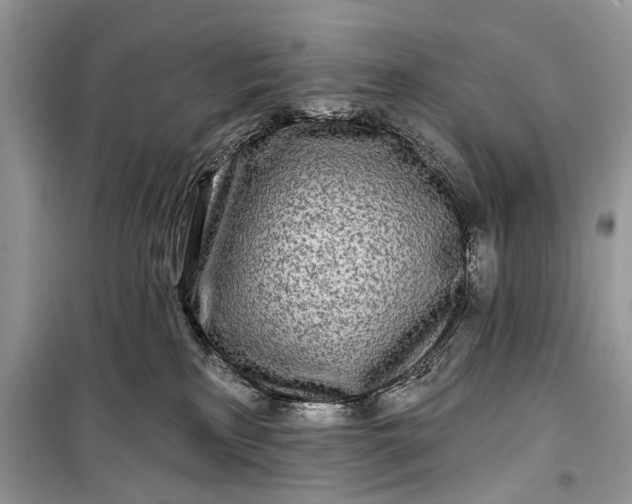 X0000099300233200805161356