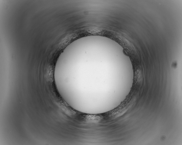 X0000099300234200805161356