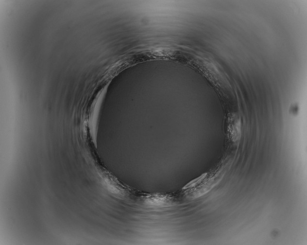 X0000099300235200805161356