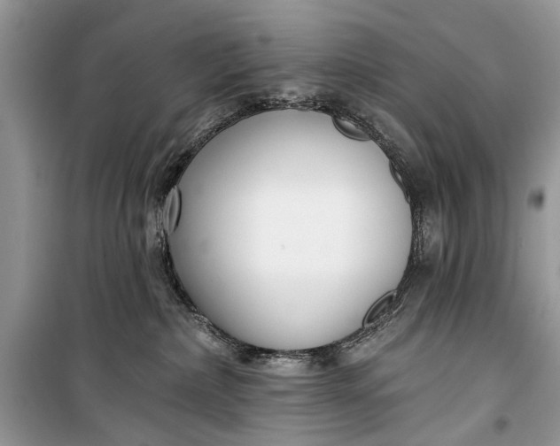 X0000099300236200805161356