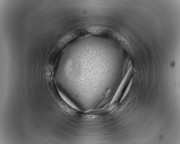 X0000099300237200805161356