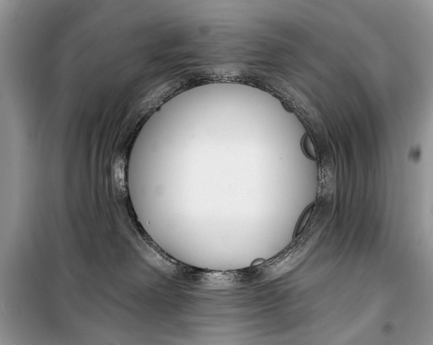 X0000099300238200805161356