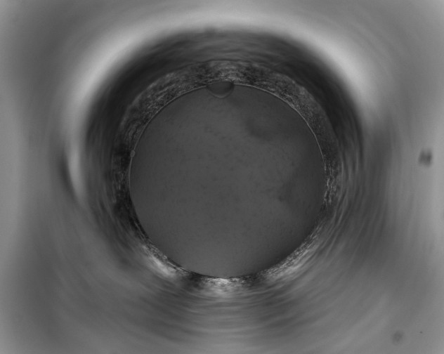 X0000099300239200805161356