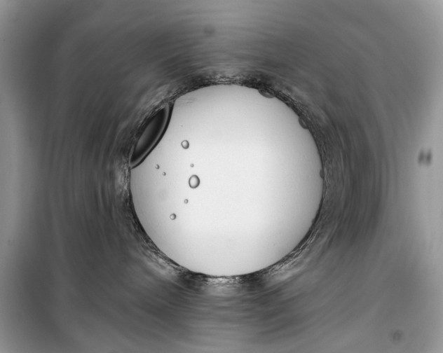 X0000099300240200805161356